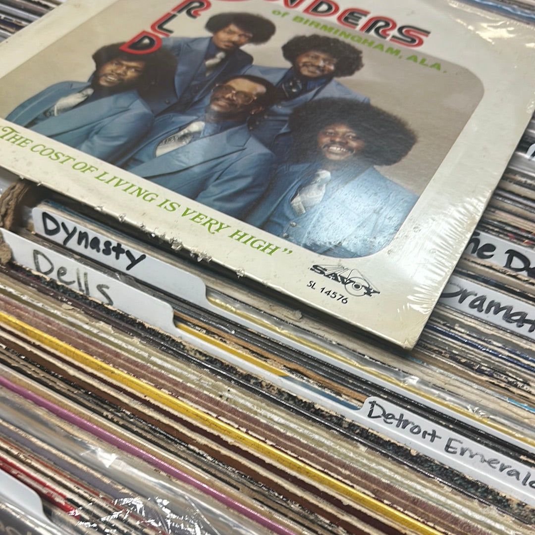 World Wonders Of Birmingham, Ala.* – The Cost Of Living Is Very High Vinyl LP