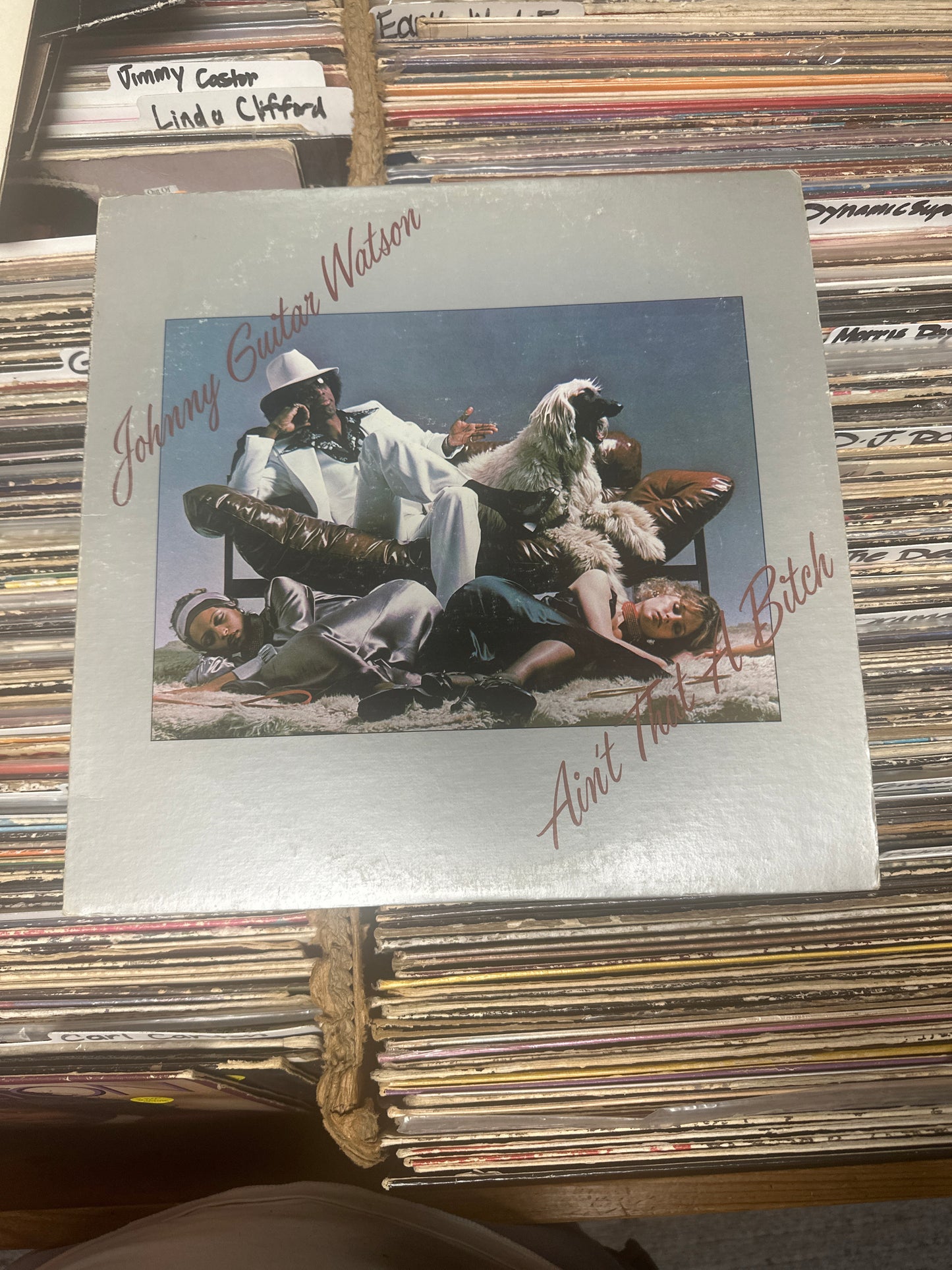 Johnny Guitar Watson ‎– Ain't That A Bitch Vinyl LP DJLPA-3 VG/VG