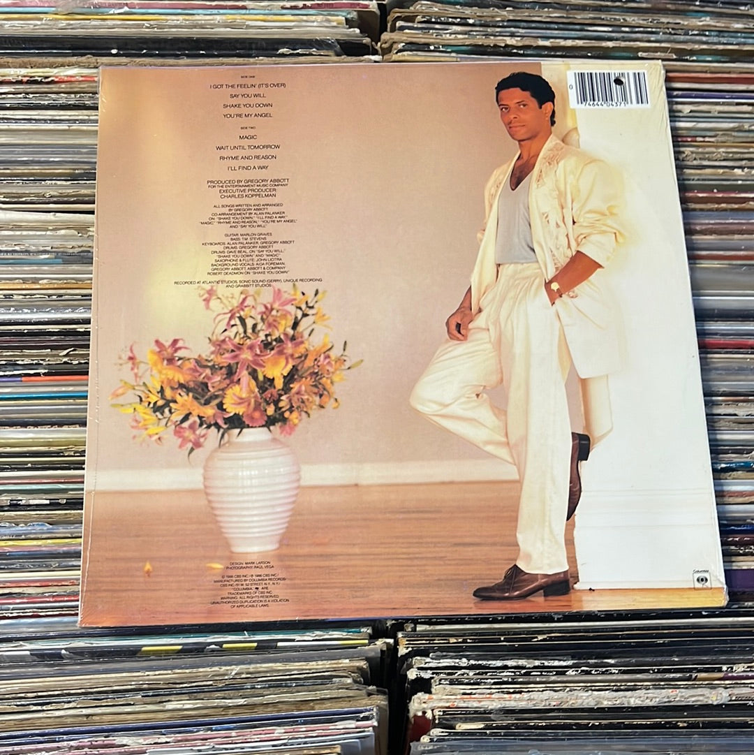 Gregory Abbott ‎– Shake You Down Vinyl Lp