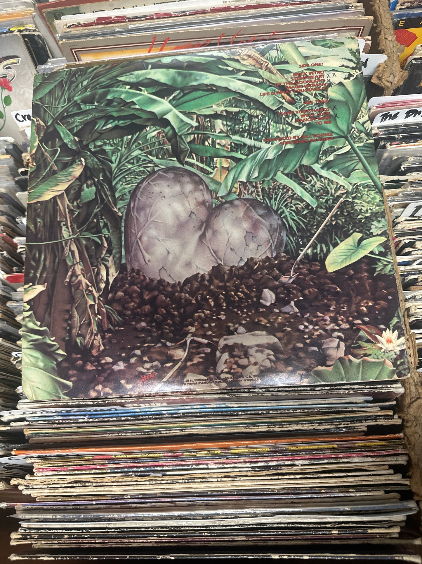 Brick – Stoneheart Vinyl LP JZ 35969 VG+/VG+