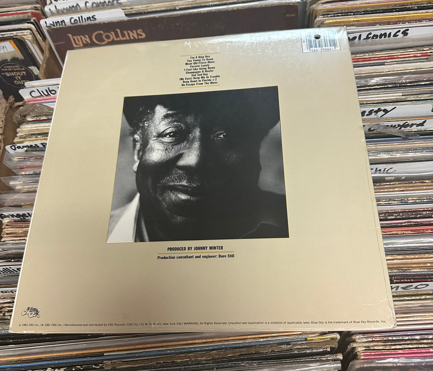 Muddy Waters ‎– King Bee Vinyl Lp