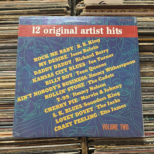 Blues Various ‎– 12 Original Artist Hits Volume Two Vinyl LP
