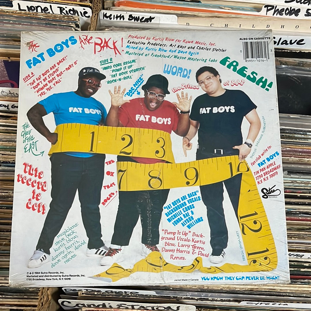 Fat Boys – The Fat Boys Are Back Vinyl Lp