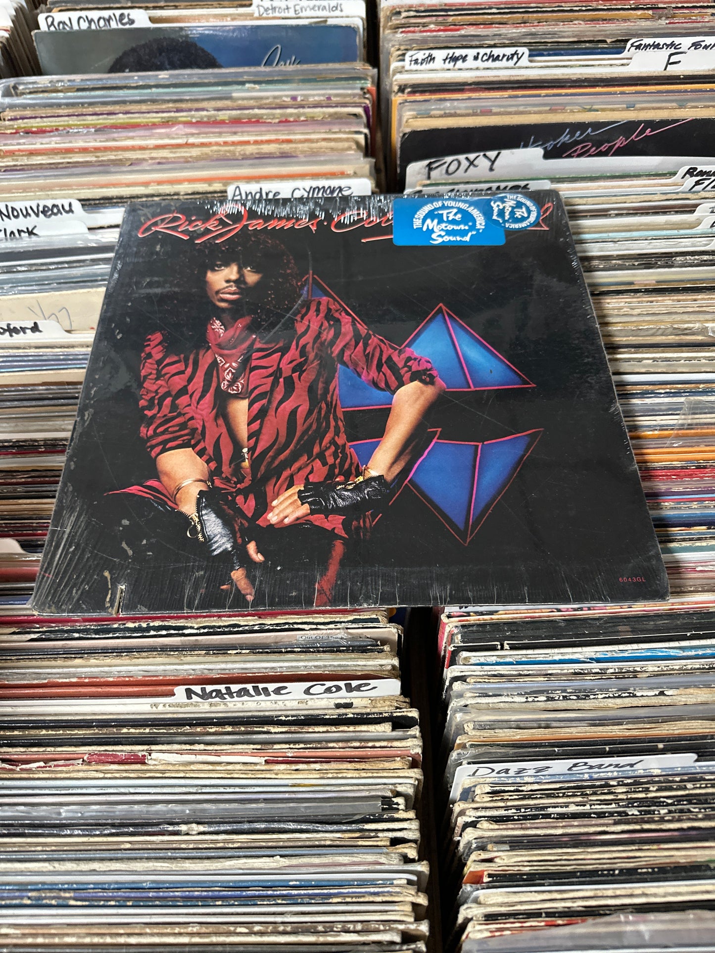 Rick James - Cold Blooded Vinyl Lp 6043GL