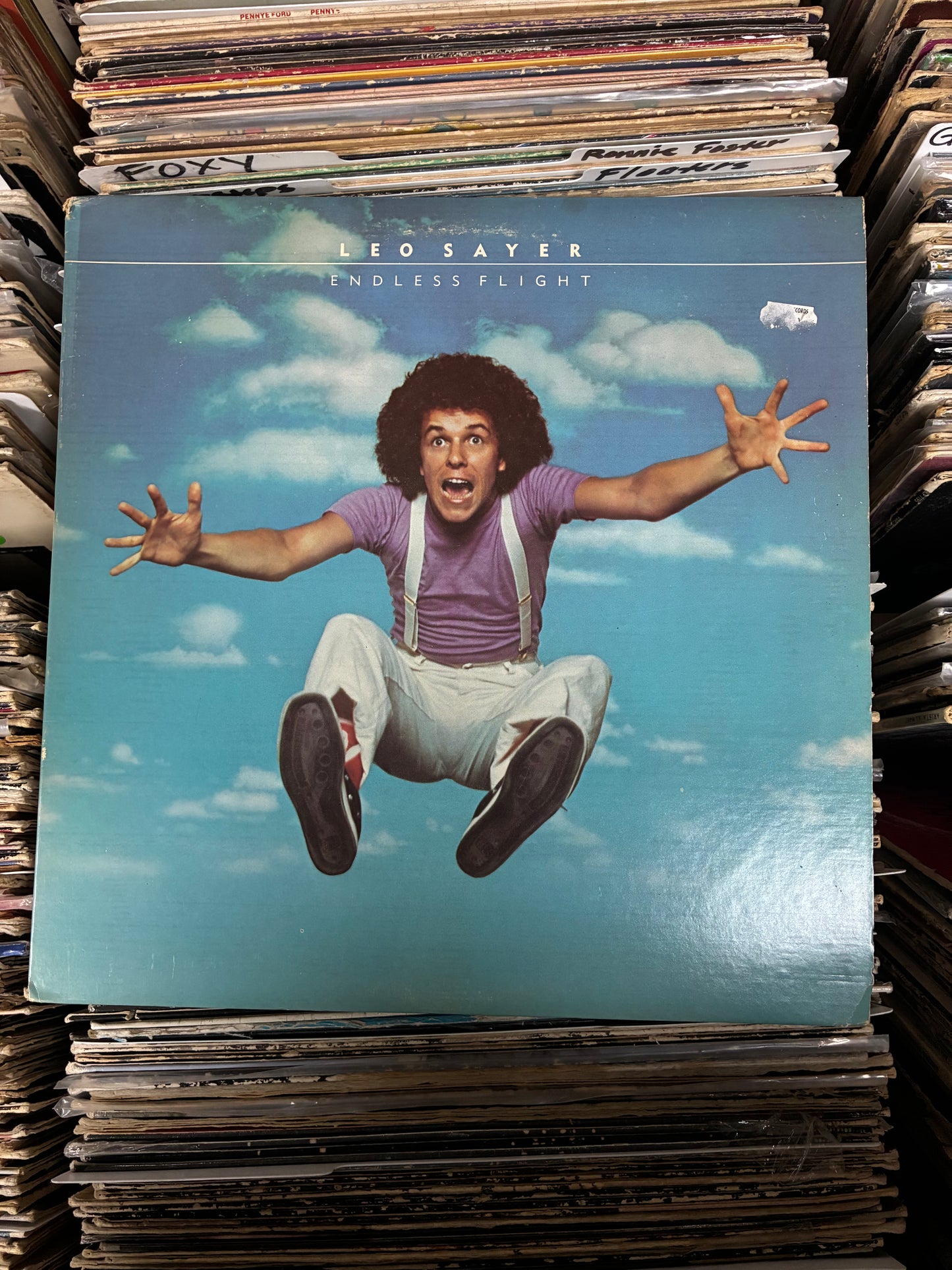 Leo Sayer ‎– Endless Flight Vinyl LP BS 2962 VG+/VG+