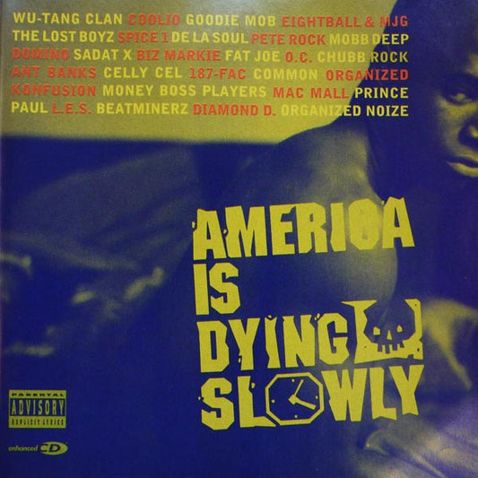 Various – America Is Dying Slowly CD Mint Condition