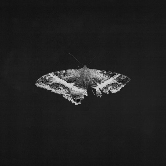 Kendrick Lamar To Pimp A Butterfly (10 Year Anniversary Edition) - Alternate Artwork (Black marble Vinyl) (2 Lp's)