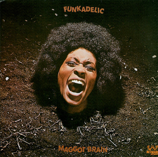 Funkadelic ‎– Maggot Brain Vinyl Lp